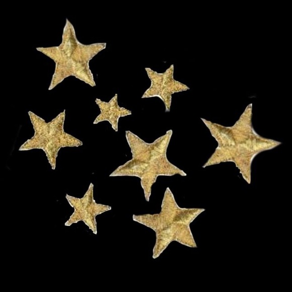 brynbear14